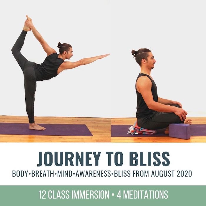 The Full Body Bliss Experience with Online Yoga - THEYOGIMATT