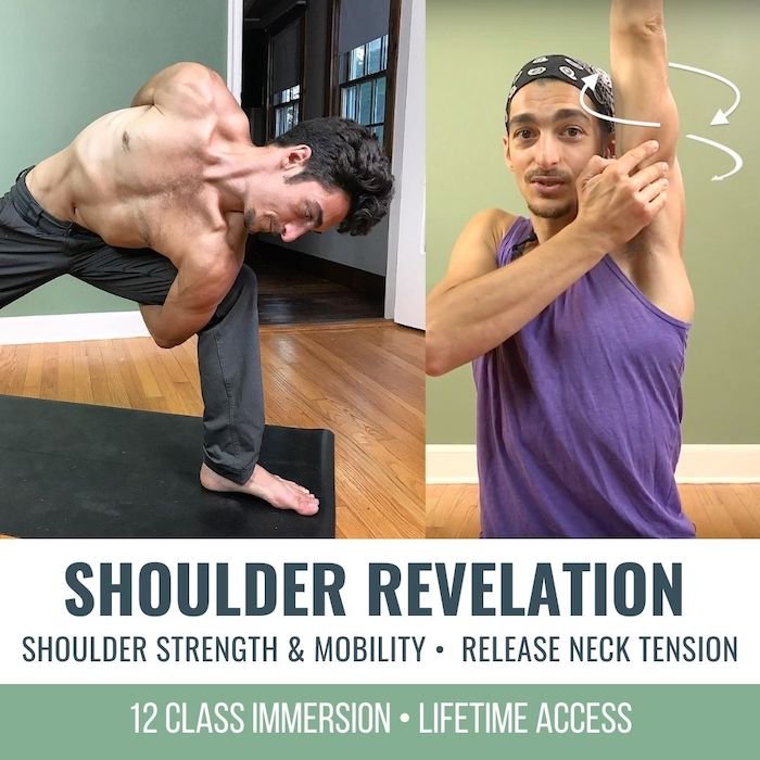 Yoganatomie - SHOULDER ALIGNMENT Typing, driving, cooking, gardening:  almost everything we do encourages us to slide our shoulder blades up our  backs and roll them forward. Over time, that can lead to