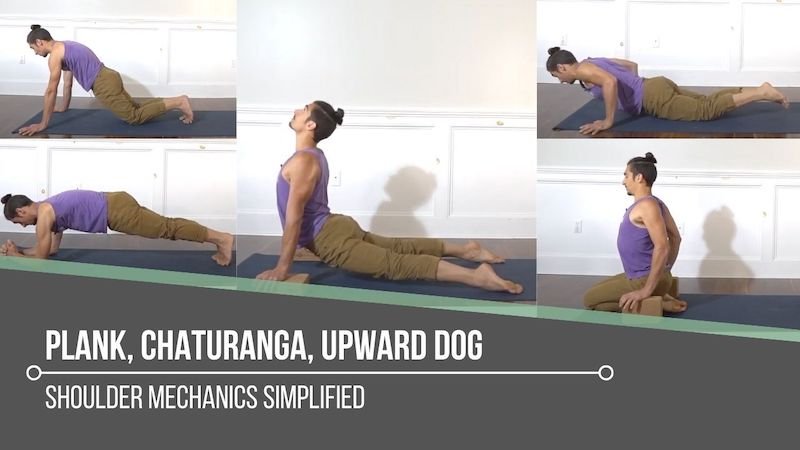 ASANA: tips and advice for your Chaturanga — Tes Cours de Yoga en