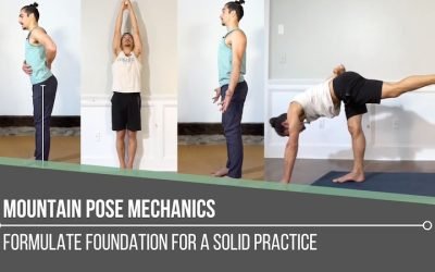 Mountain Pose Mechanics