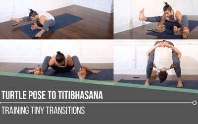 Turtle Pose To Titibhasana